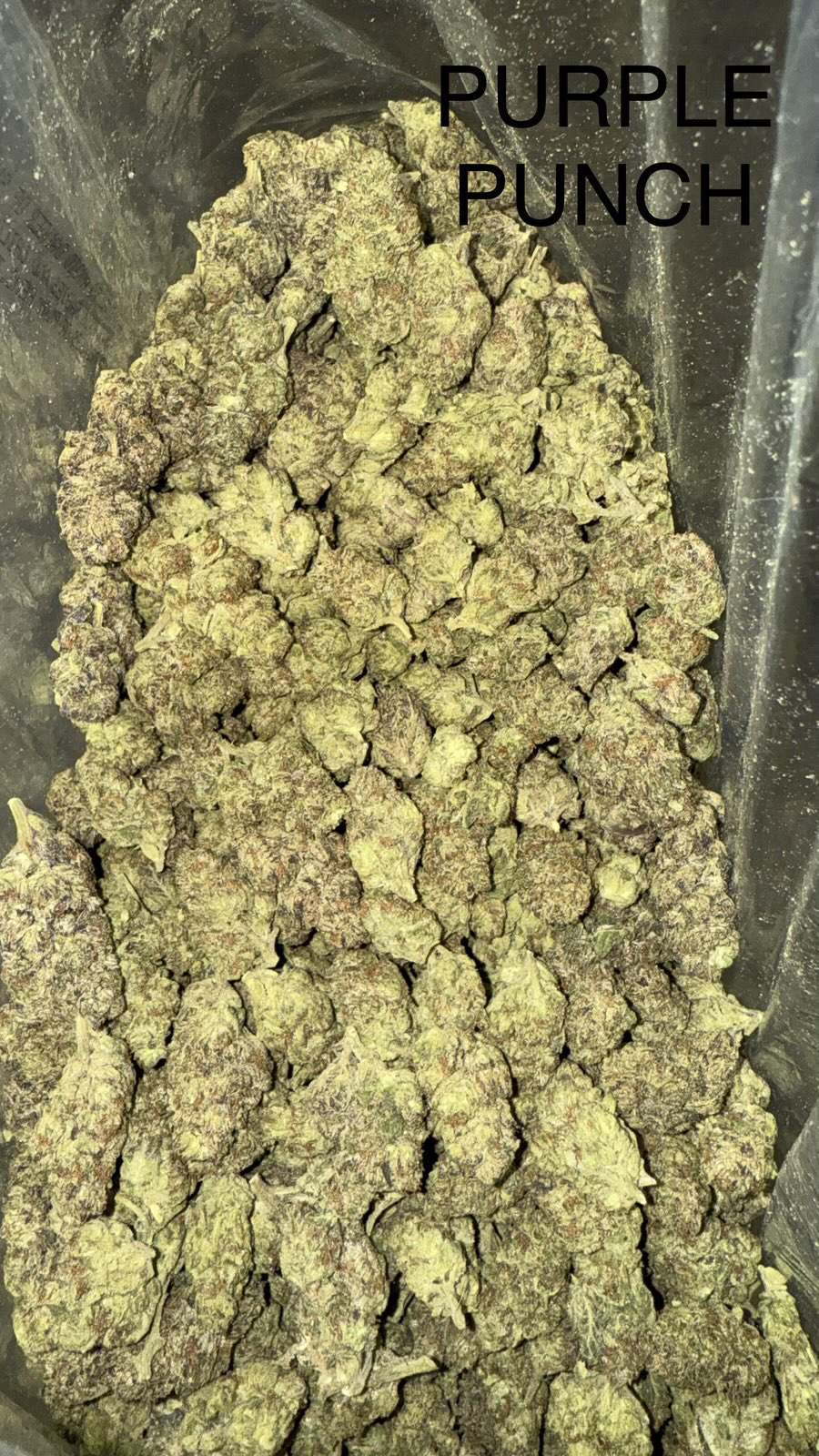 Purple Punch
